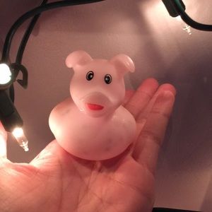 Meet your Posher, Alexis